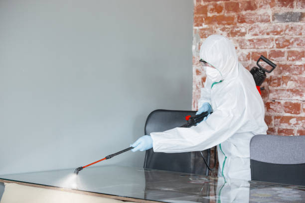 Why You Should Choose Our Mold Remediation Services in Washington, UT