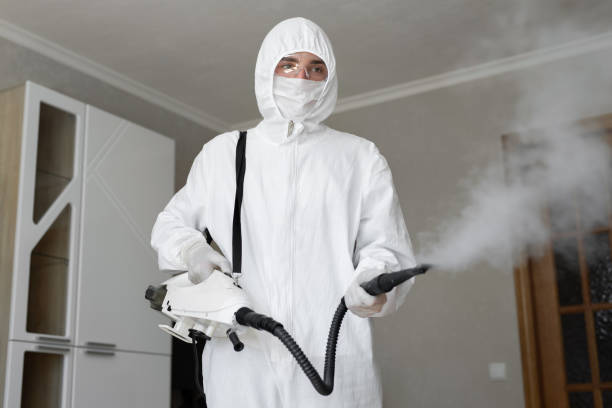 Washington, UT Mold Removal Company